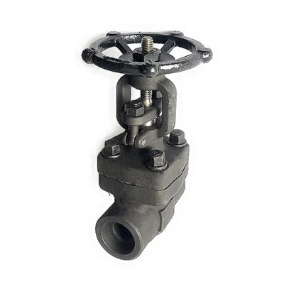 Forged CS Gate Globe & Check Valves Manufacturer serving Kolkata